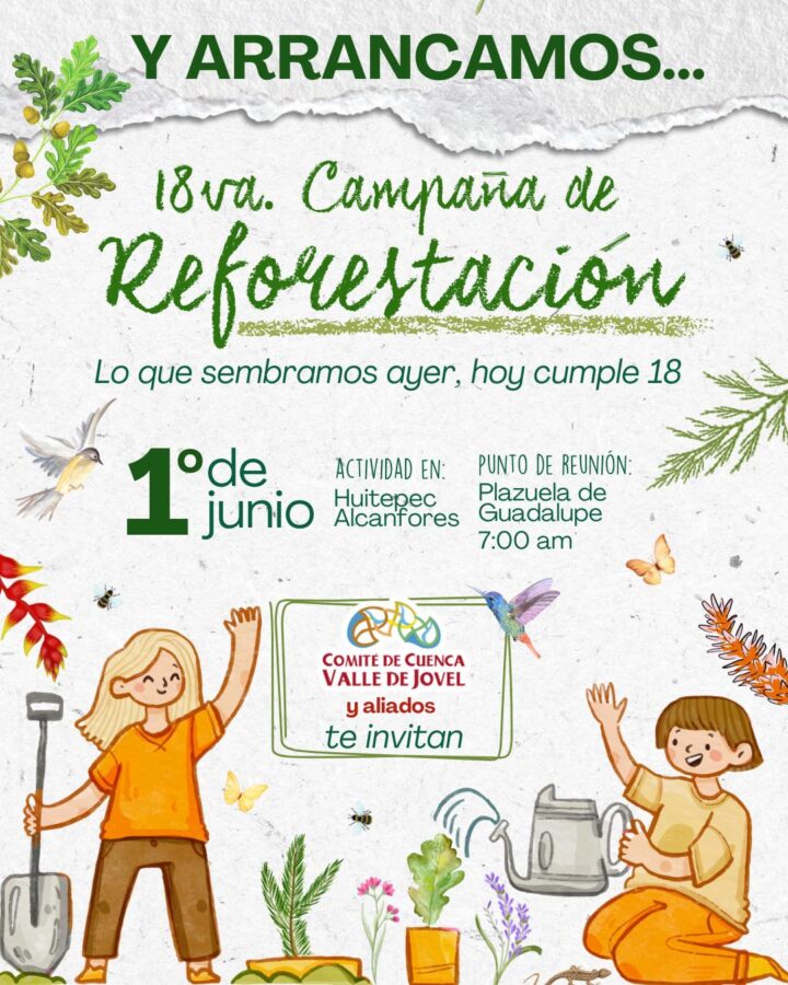 18 años reforestando el Valle del Jovel.