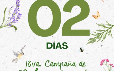 Nos quedan solo 02 días para poder comenzar a reforestar nuestros bosques!!